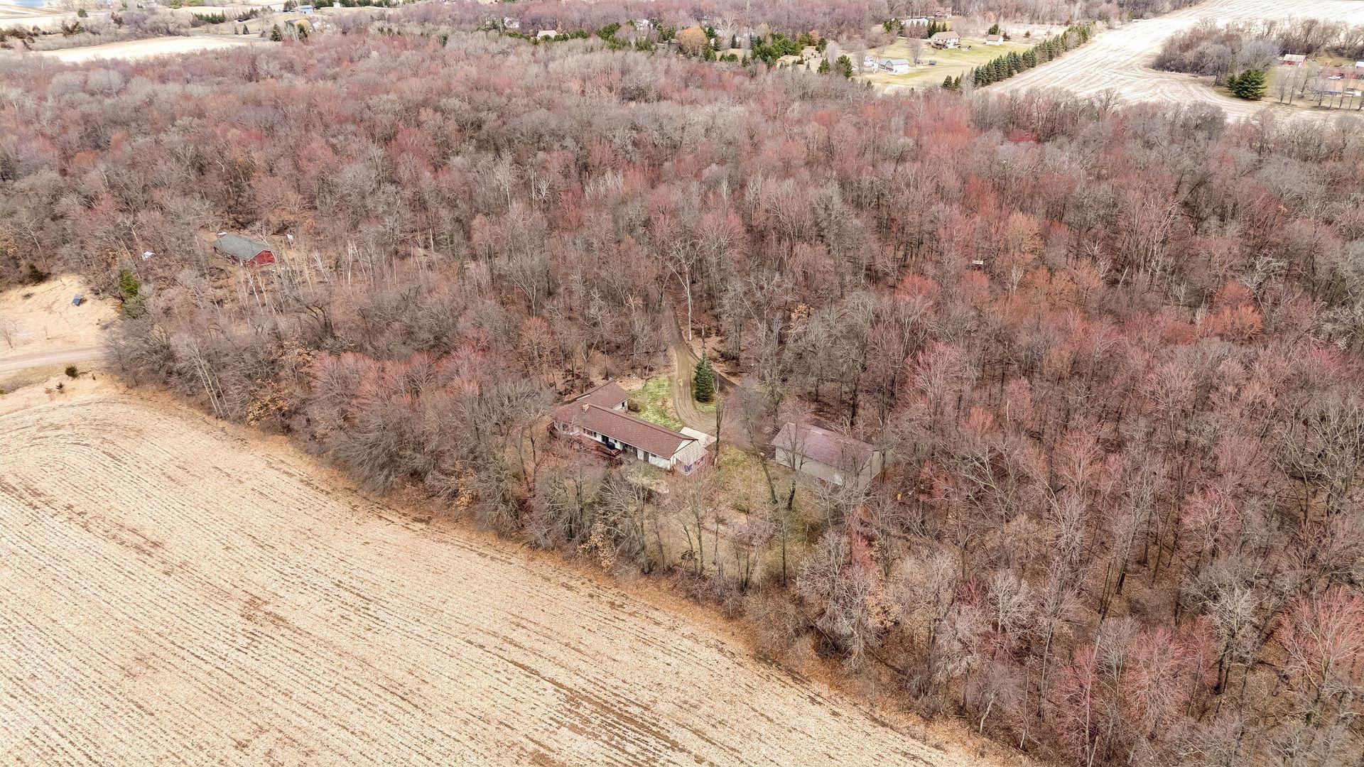 Private driveway surrounded by trees—your own peaceful approach home.
