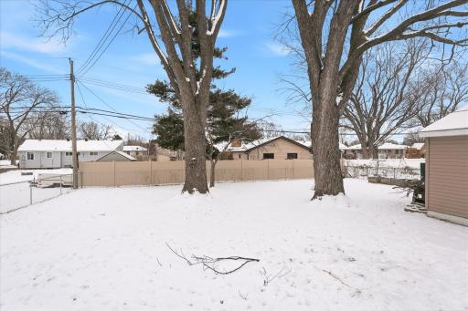 The expansive backyard with mature trees and new full fencing installed in 2020.