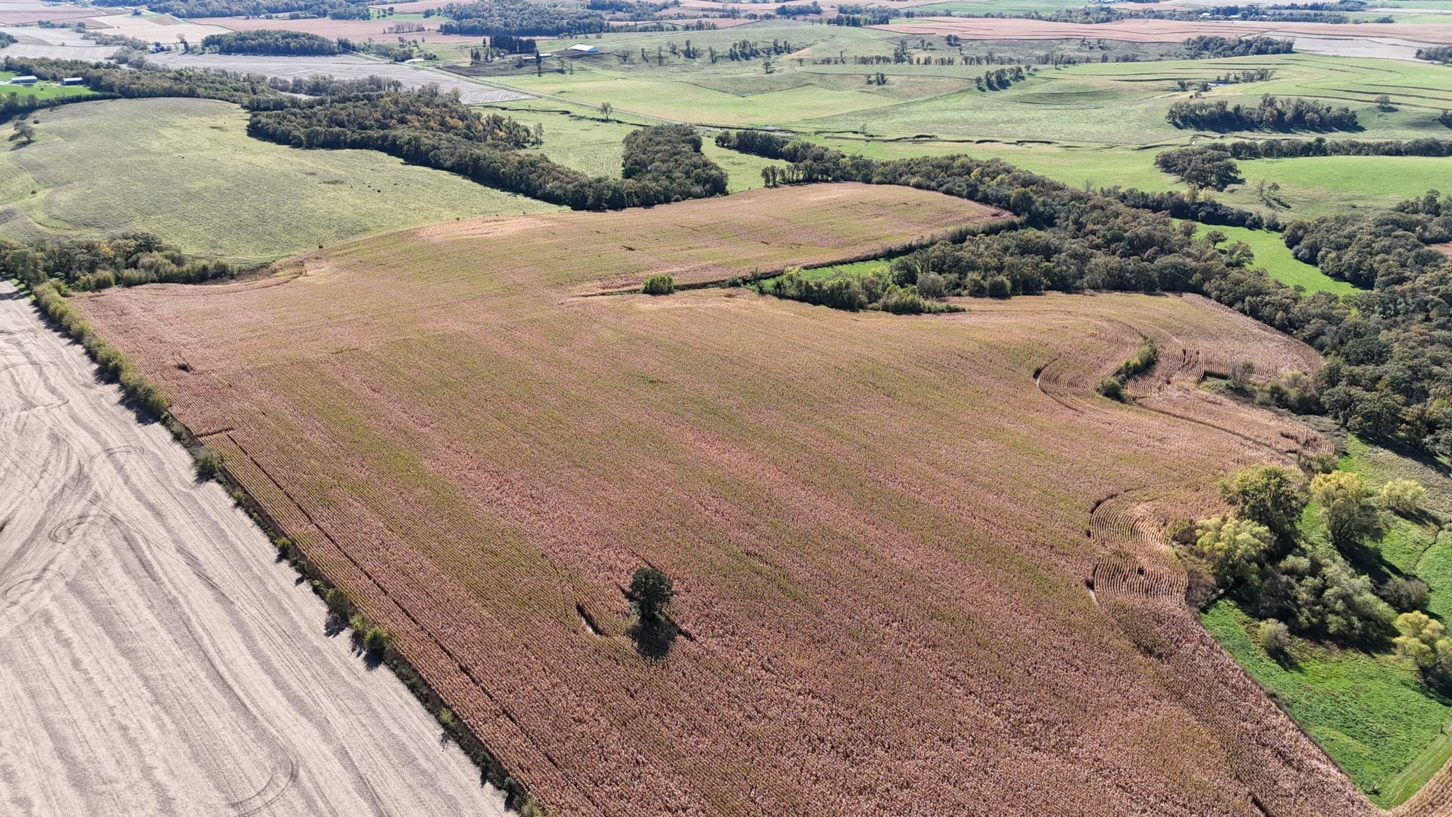 dji_fly_20251013_144744_0115_1760385765174_photo.jpeg