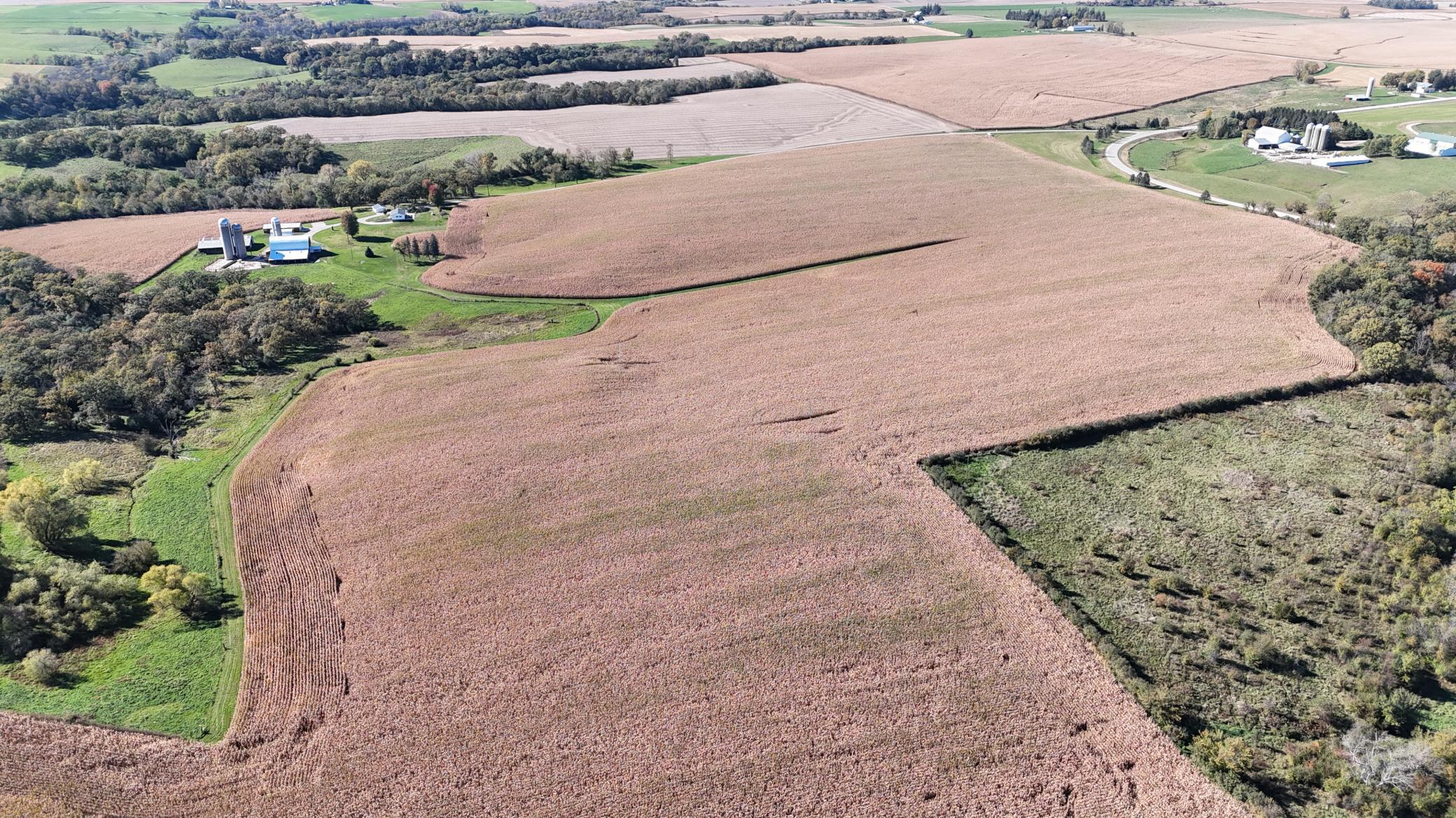 dji_fly_20251013_144750_0116_1760385763265_photo.jpeg