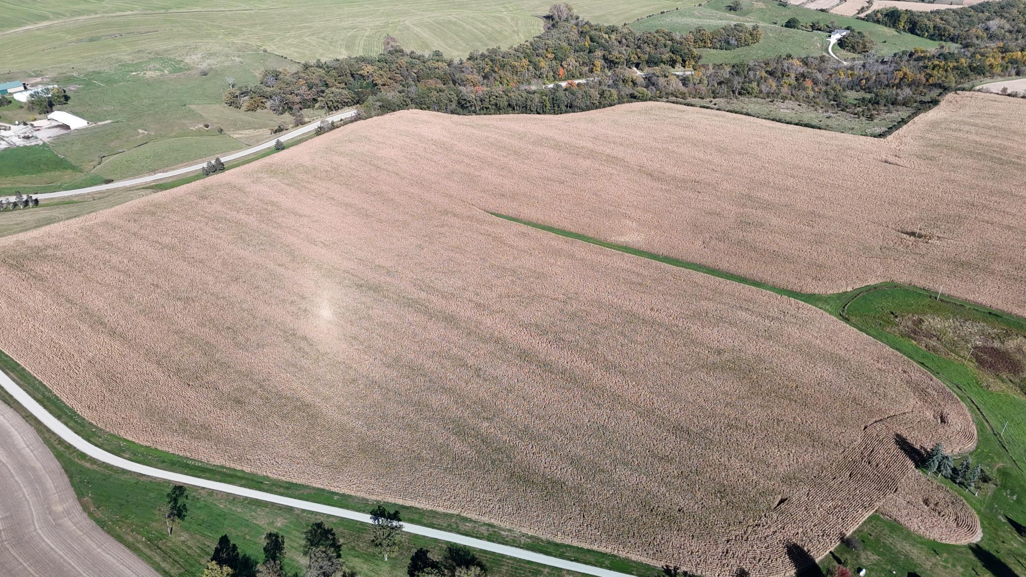 dji_fly_20251013_145808_0131_1760385685877_photo.jpeg