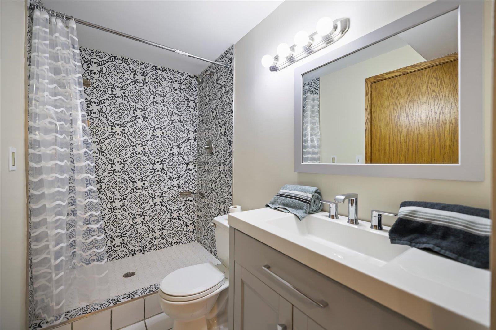 Lower level bathroom
