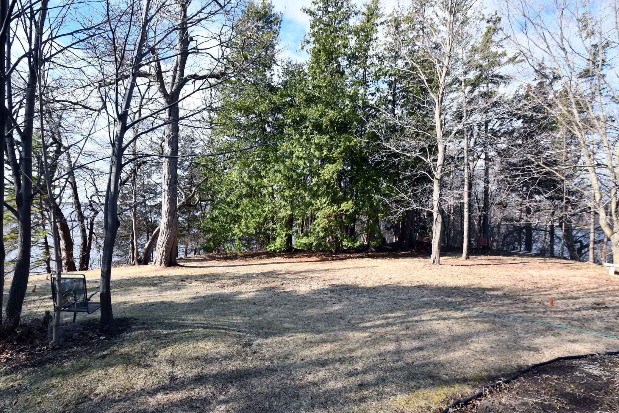 a woods DSC_0591 copy.jpg