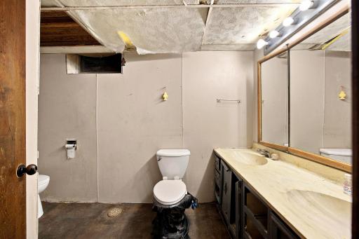 Lower level 3/4 bathroom with a double sink