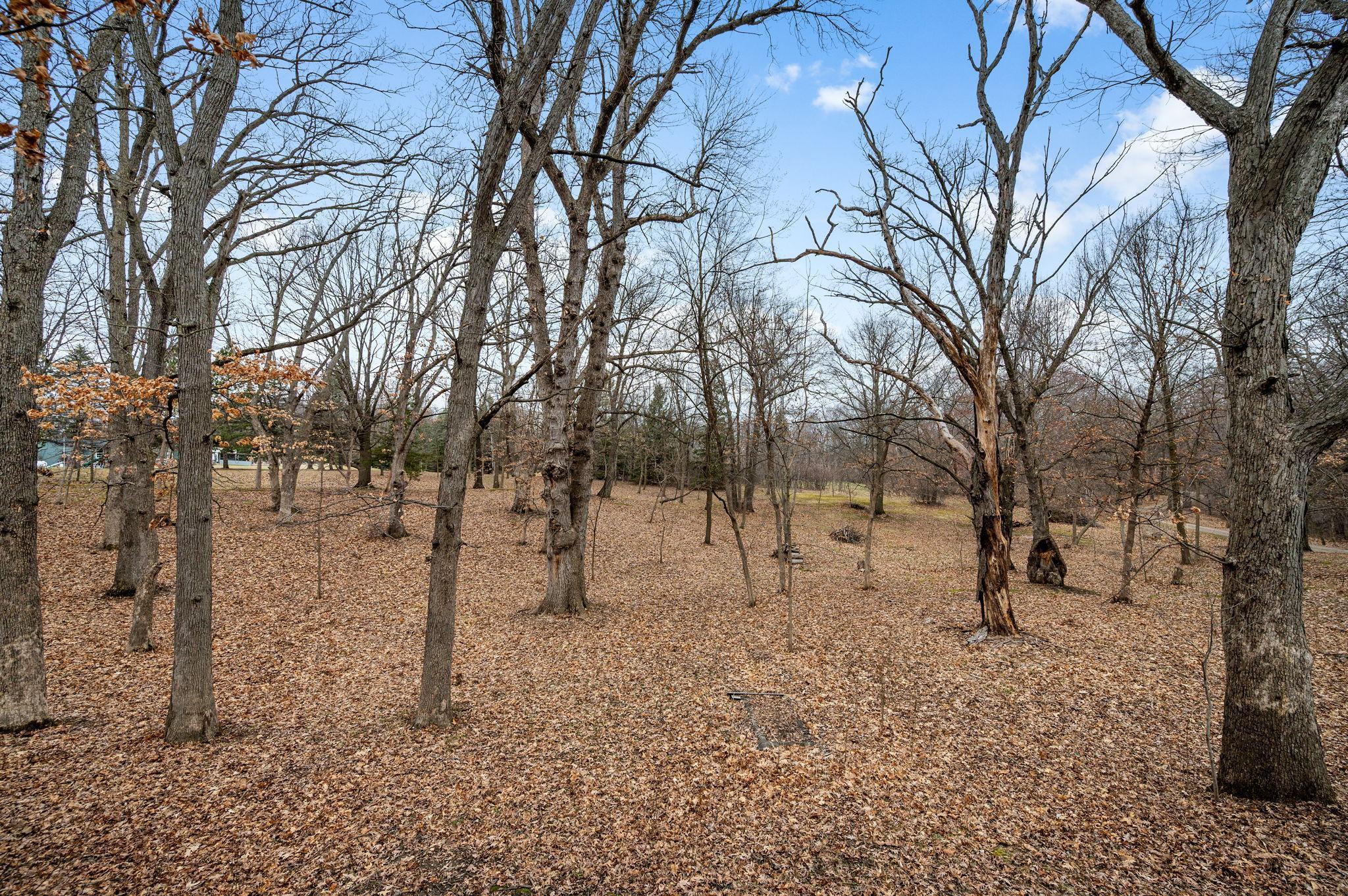 Heavily Wooded Lot with Mature trees and lots of privacy!