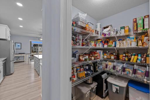 Walk-in Pantry across from the Butler's Pantry