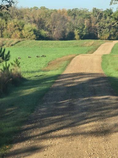 12157 County Highway 79, Parkers Prairie, MN 56361