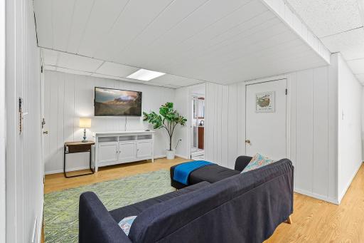 Lower level family room