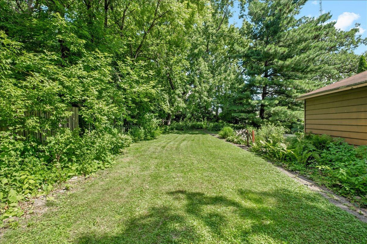 Large Back Yard