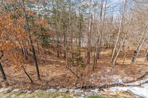 21162 N Keibler Court N, Forest Lake, MN 55025