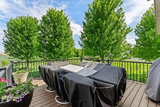 Fantastic low maintenance deck retreat! Beautiful mature trees and large backyard!