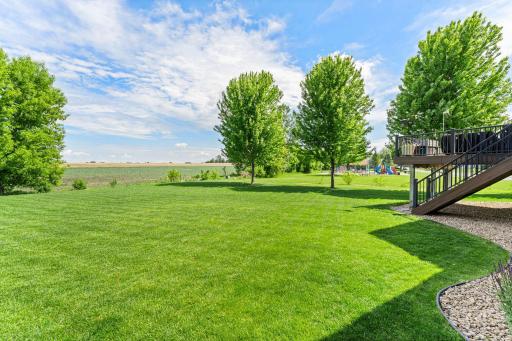 Amazing backyard with tons of space to run and play.