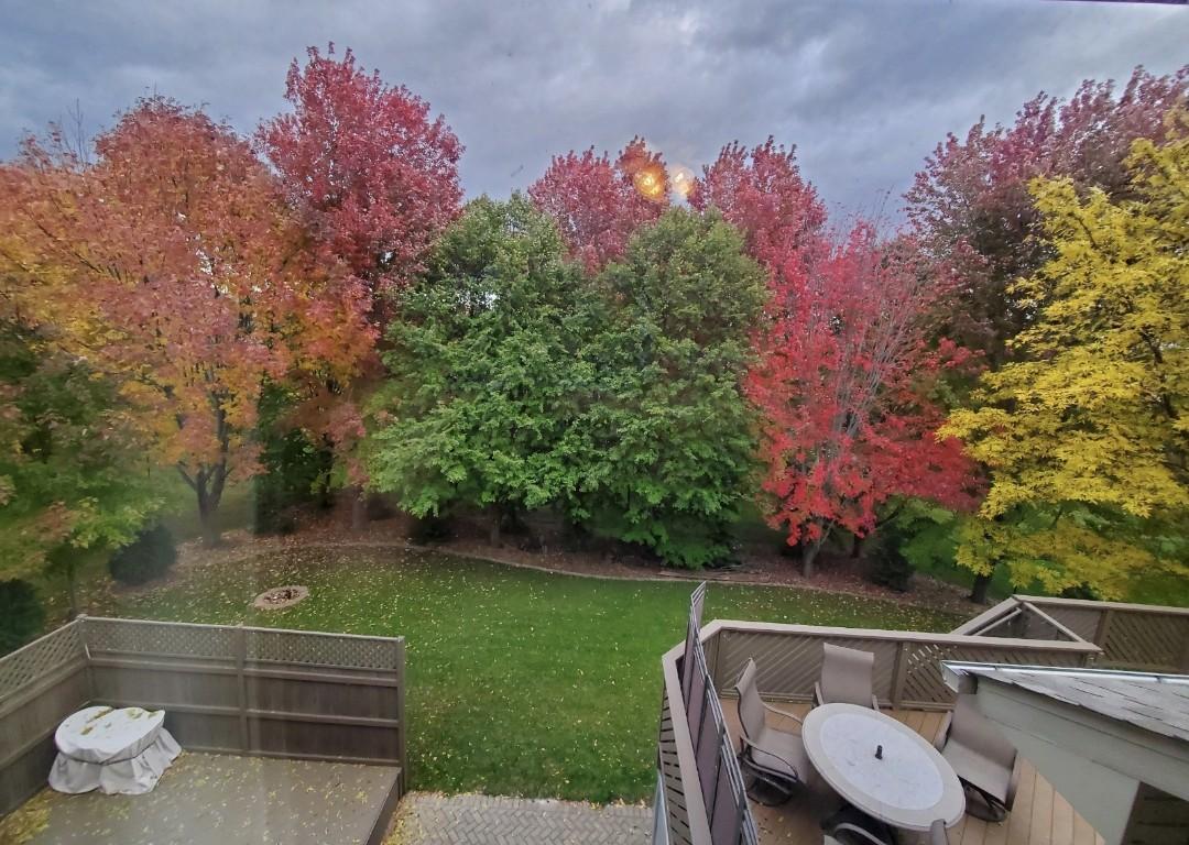 Fall beauty in your private back yard