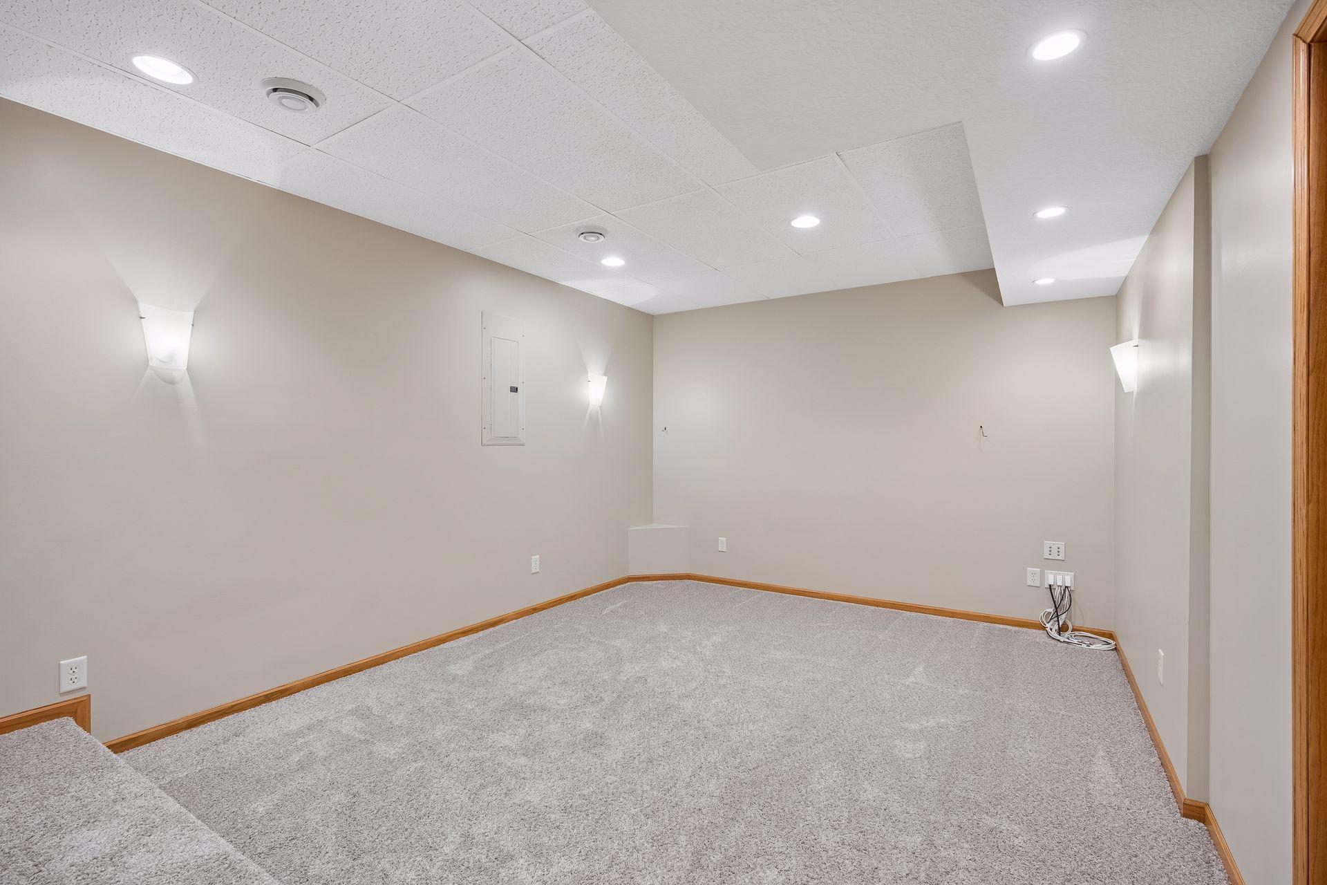 Lower level media room