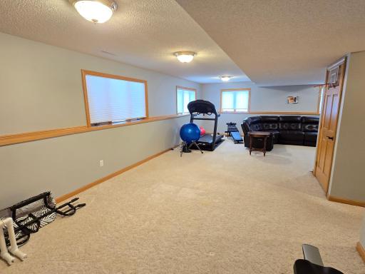 LL family room. Add a wet bar? Entertainment area?