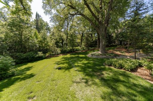DSC_6187.jpg