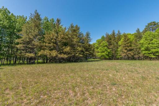 TBD Sorenson Lake Rd., Merrifield, MN 56465