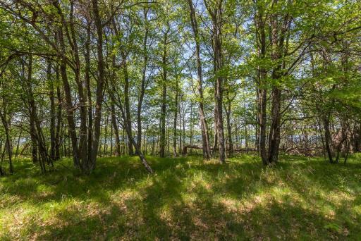 TBD Sorenson Lake Rd., Merrifield, MN 56465