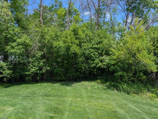 6230 Boulder Ridge Drive, Rockford, MN 55373