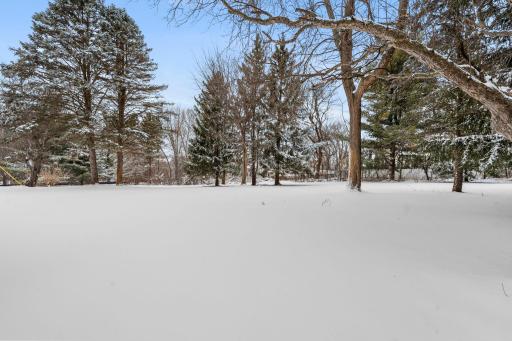 Mostly level land offers ideal space for play, gardening, or future outbuildings.