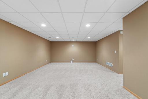 Lower Level family room, great for entertaining!