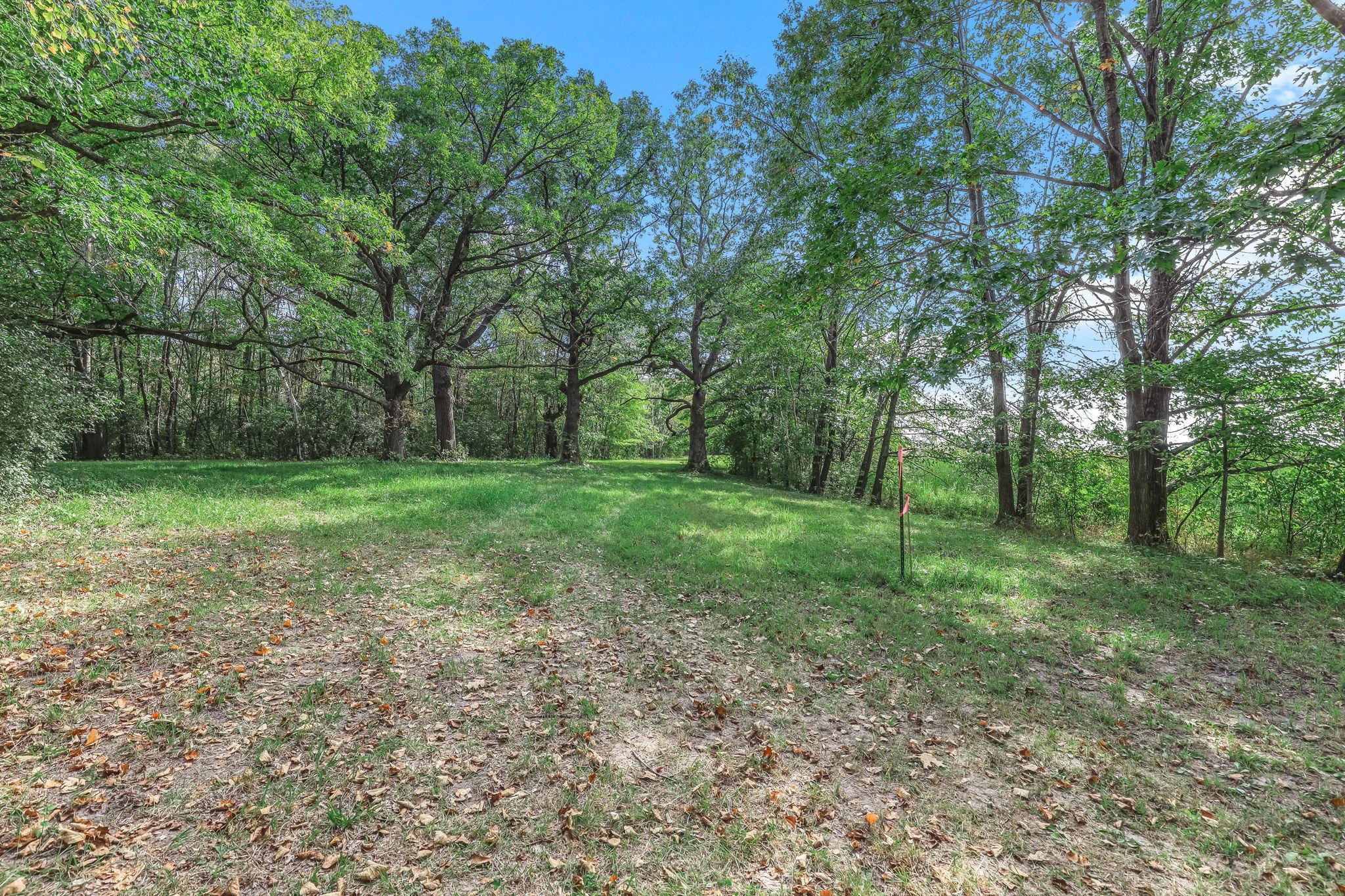 41 A Survey Stake in Back woods