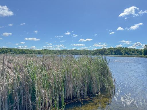 24718 W Elbow Road, Pelican Rapids, MN 56572