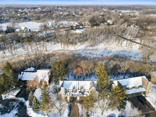 Aerial view of the woods and wetlands of Nine Mlle Creek.
