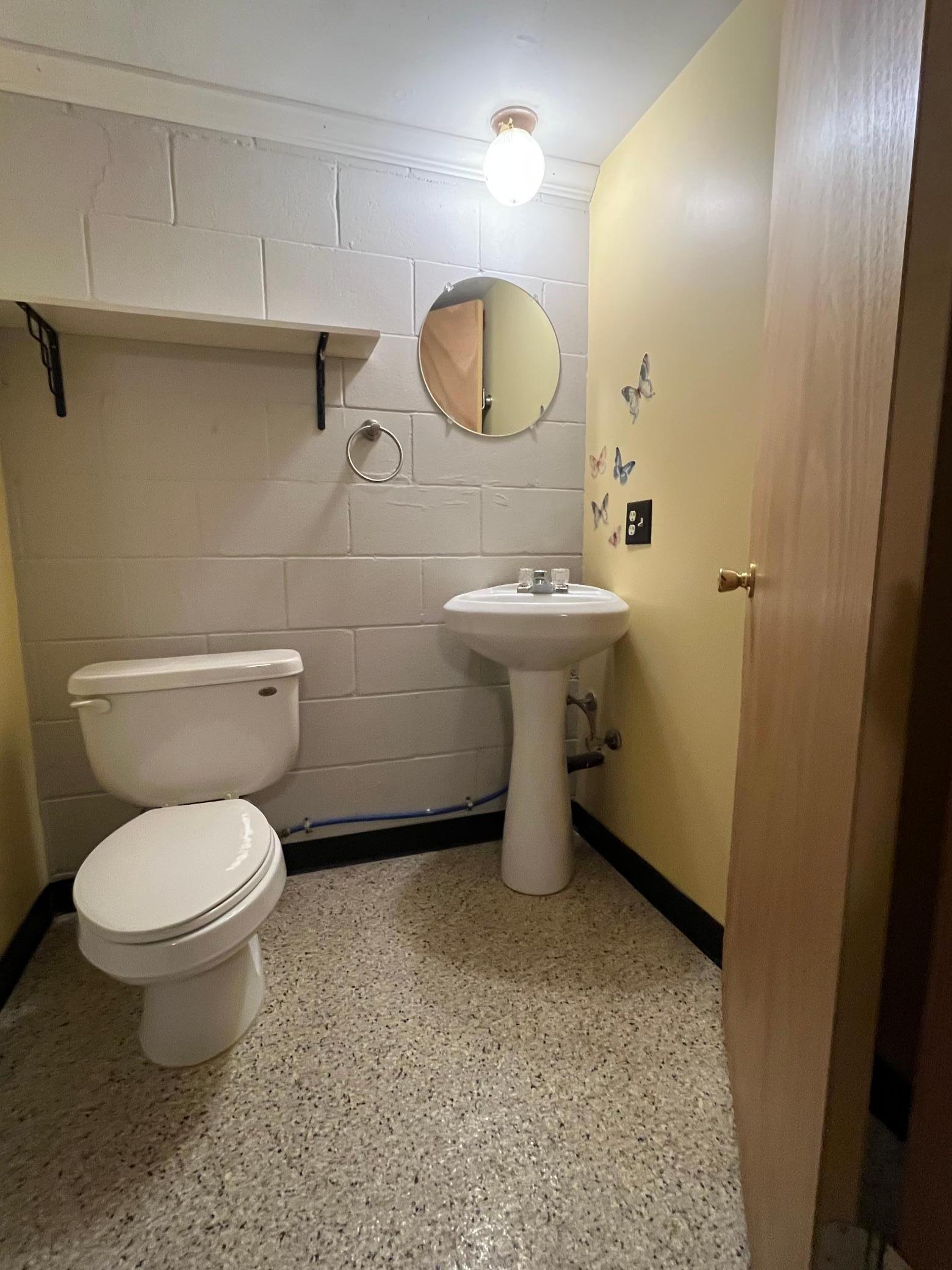 Lower level 3/4 bathroom