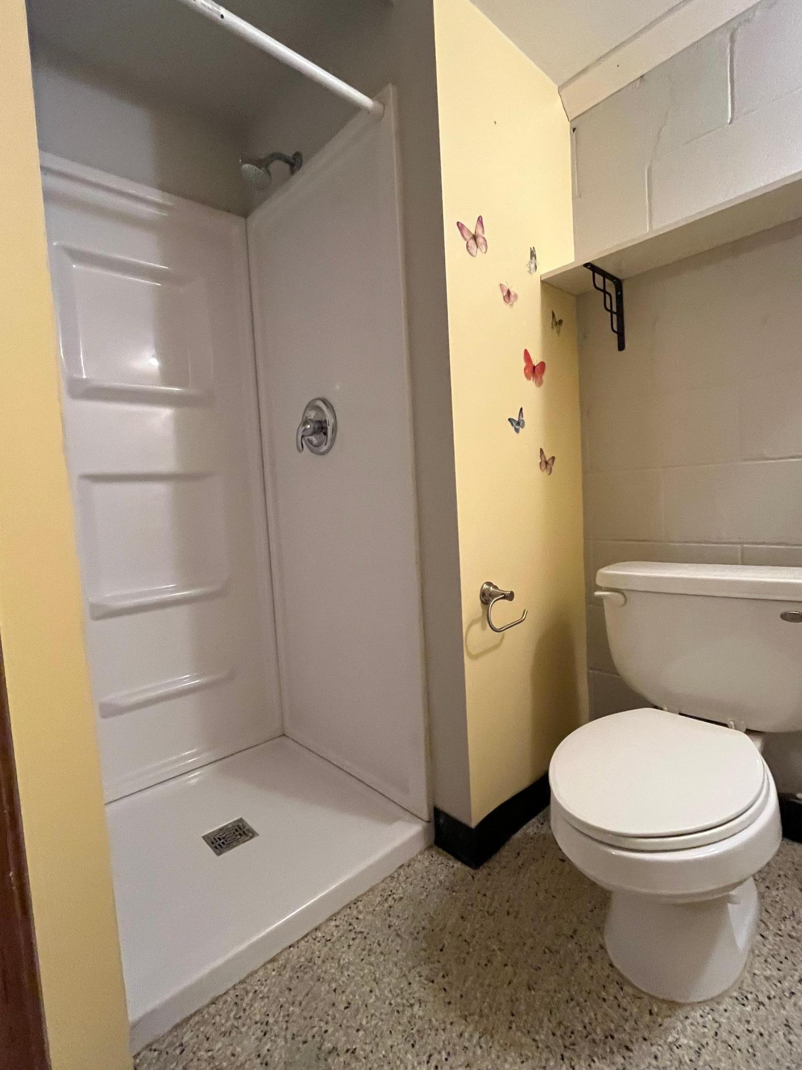 Shower -- lower level bath