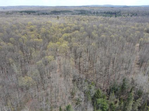 72303 Pufal Road, High Bridge, WI 54846
