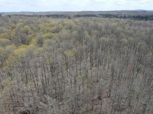 72303 Pufal Road, High Bridge, WI 54846