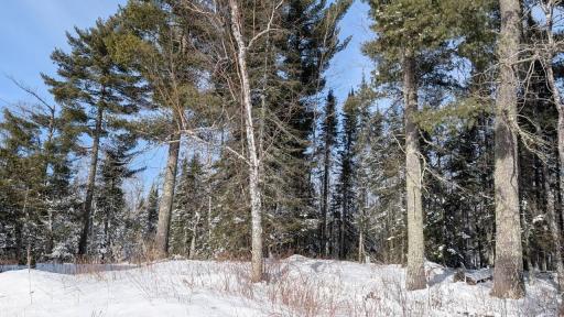 4477 Hitchcock Road, Orr, MN 55771