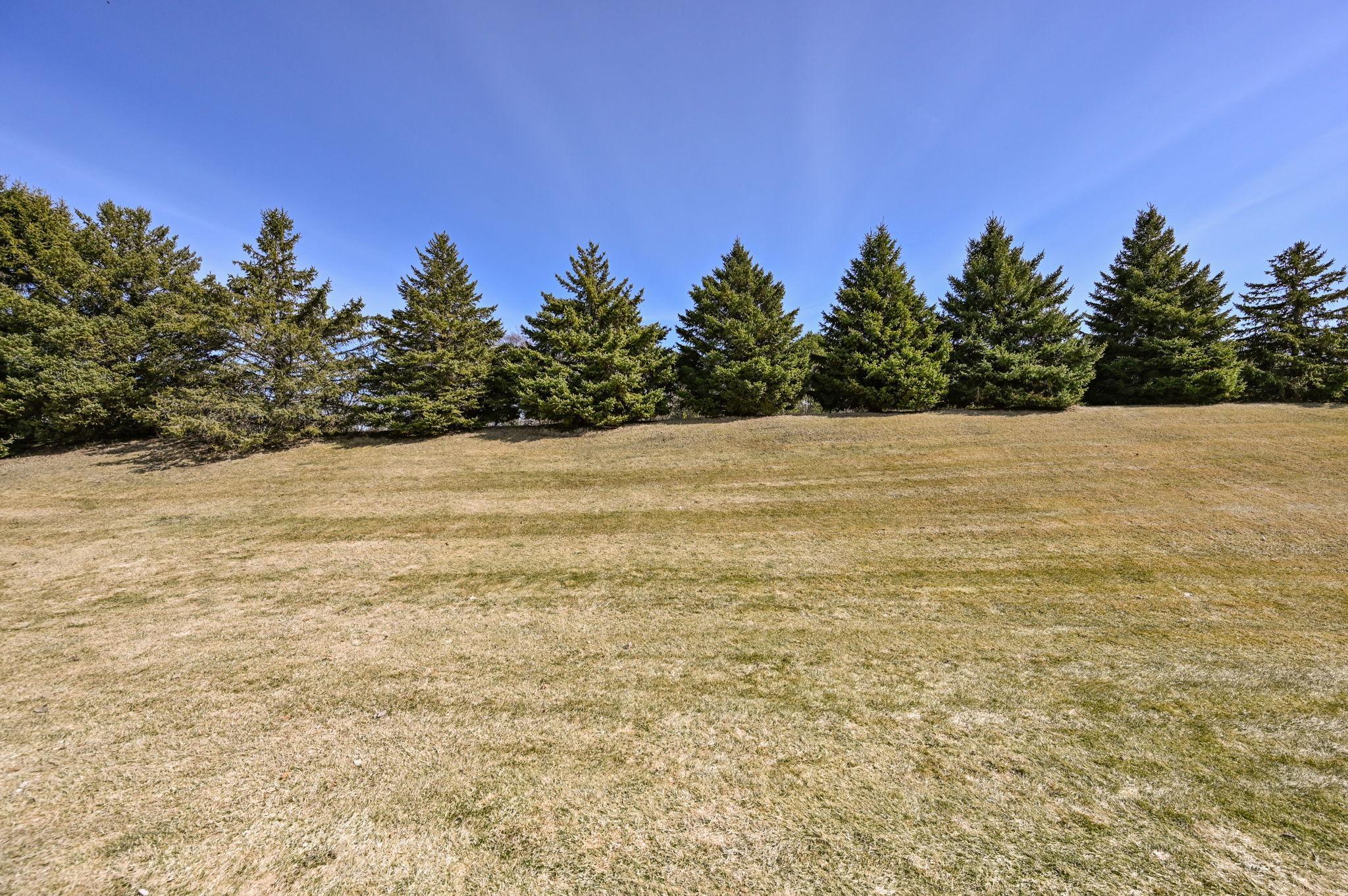 517 Buffalo Run Rd-5 (2).jpg