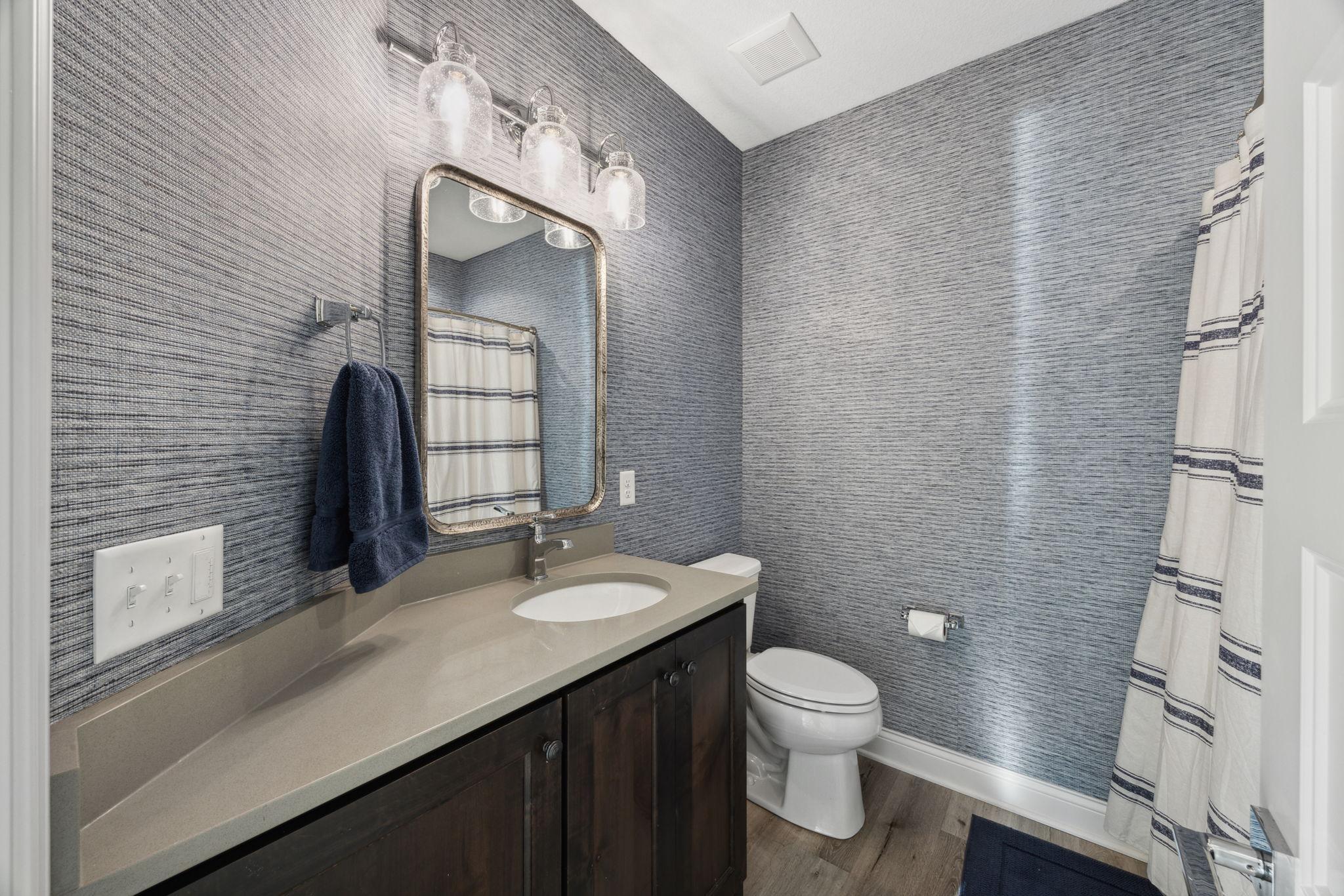 Lower level bathroom.