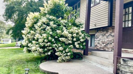 303 Heather Lane, Long Lake, MN 55356