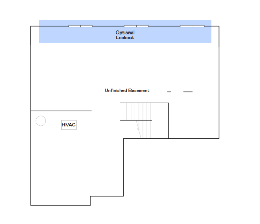 Lewis unfinished basement.