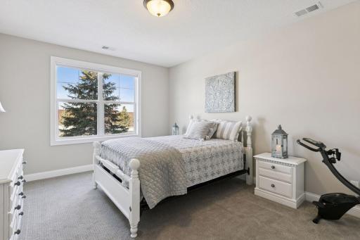 Other bedroom on the lower level that receives beautiful natural sunlight.