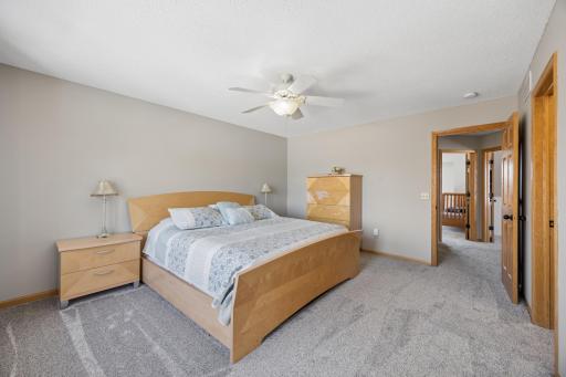 The primary bedroom is very spacious to allow for a large bed and plenty of space for other furniture. A walk-in closet is also to the right. This level has brand new carpet and paint!