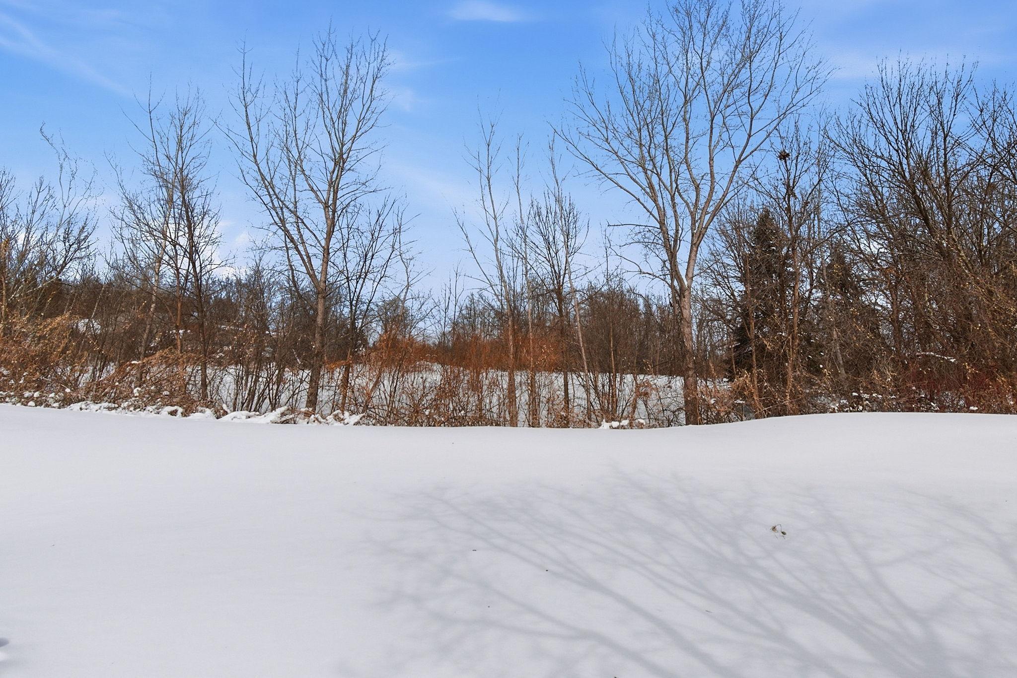 Nature area right next door.