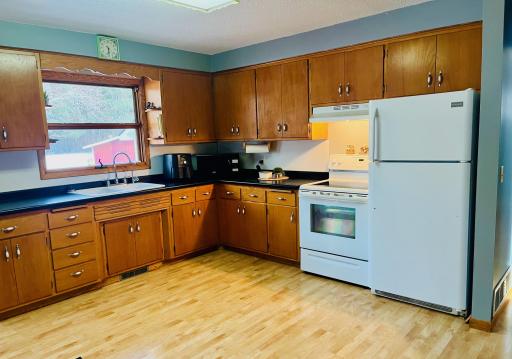 Window View to Back Yard