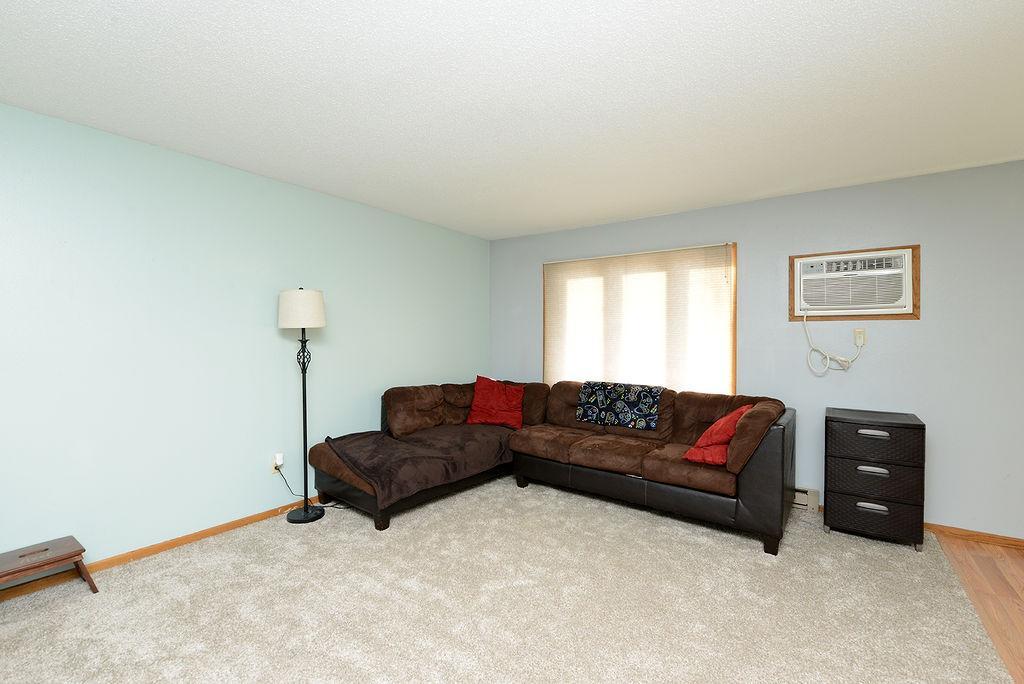 New Carpet