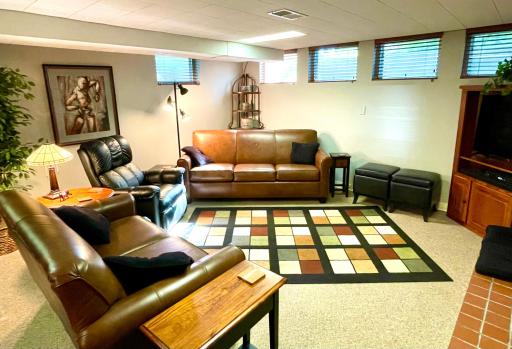 Lower level family room with garden view windows
