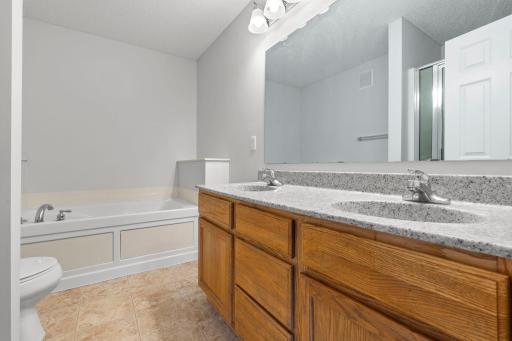 Primary Bath has Dual Sink Vanity with Stone Countertop and New Lighting