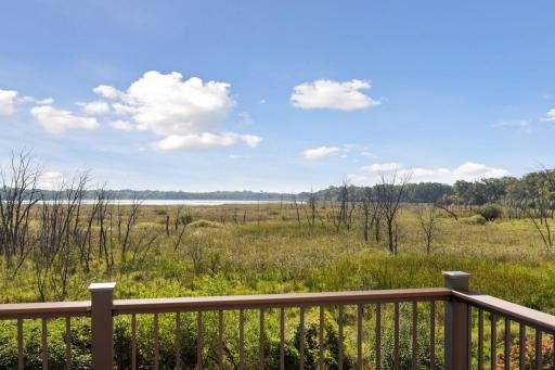 View from the composite deck overlooking a serene landscape and Wilkinson Lake in background.