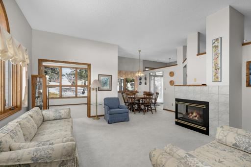 4125 Arbor Lane, Saint Paul, MN 55122