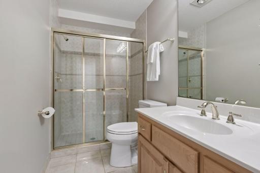 Fourth bathroom downstairs, with step-in shower.