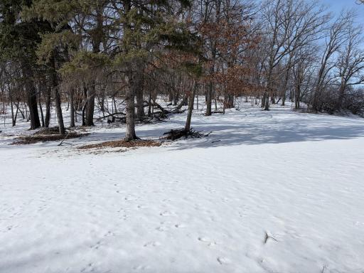 798 S Shore Drive, Detroit Lakes, MN 56501
