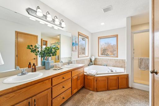 407 148th Avenue NE, Andover, MN 55304