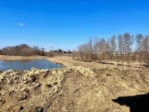 Progress photo of the actual backyard!
